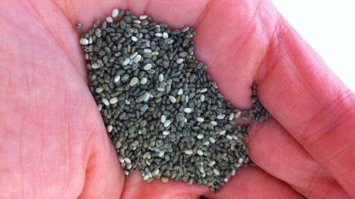 An unusual but effective new ingredient, chia seeds. 