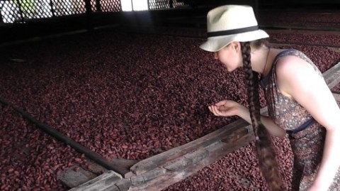 Friederike inspecting beans in Madagascar. 